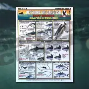 Fishermen's Offshore Big Gamefish Bait Rigging #4 (Billfish & Tuna Rigs) - Water