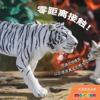 在飛比找蝦皮購物優惠-【童心】英國mojofun野生動物仿真玩具老虎獅子獵豹實心狼