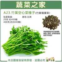 在飛比找樂天市場購物網優惠-【蔬菜之家】A23.竹葉空心菜種子(竹葉種蕹菜)(共有2種包