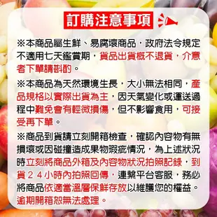 日本岡山晴王麝香葡萄禮盒 0運費【果之蔬】日本葡萄 無籽葡萄 綠葡萄 日本綠葡萄 日本水果 晴王葡萄