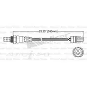 PAT Oxygen Sensor - EGO-373