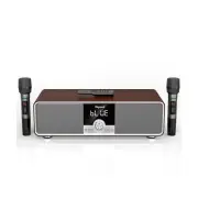 Karaoke Machine for Adults, Bluetooth Karaoke Machine with Microphone, Karaok...