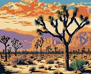 Amazing Places OD (121) - Joshua Tree National Park, California - Van-Go Paint-by-Number Kit 40x50cm with Frame
