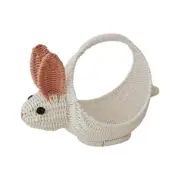 Elegant Fruit Container Plastic Storage Basket Easy to Carry and Store Basket