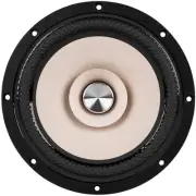 2 Tang Band W8-2145 speakers (One Pair)