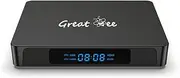 Great Bee One Year Android 10 1G 8G Arabic 4K Smart TV Box for IPTV Set Top Boxes, Black