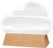 Storm Glass Weather Forecaster Cloud Shape Storm Glass Weather Predictor Home Weather Station Bottle Ornament Storm Glass Weather Forecaster, Storm Glass Weather Predictor