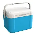 5L Cooler Box Portable Fresh-Keeping Incubator Mini Fridge Camping Refrigerator