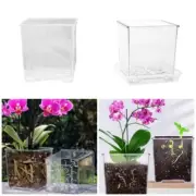 Clear Square Breathable Ornament Phalaenopsis Planter Household Supply