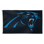 Wincraft NFL Flag 150x90cm Banner NFL Carolina Panthers Multi