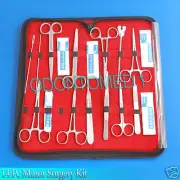 14 PC MINOR SURGERY VETERINARY SURGICAL INSTRUMENTS KIT SET+ 100 SCALPEL BLADES