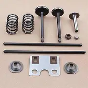 DUNLAP Intake Exhaust Valve Push Rod Spring Kit Fit for GX390 GX340 188F 13HP 11HP Push Rod Guide Plate Engine Motor