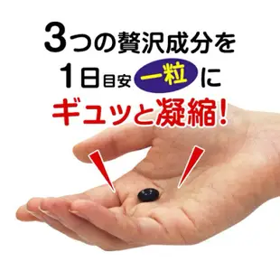 日本FANCL 芳珂 長輩視力 葉黃素、蝦青素、玉米黃素膠囊40日份/芳珂 青少年 藍莓精華錠 30日份 日本葉黃素藍莓