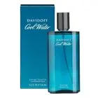 Cool Water by Davidoff EDT Spray 125ml For Men Frangrance perfume gift