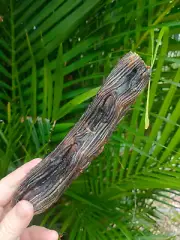 Kangaroo Tail Dog Treat - 20cm