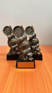 Discontinued Netball Trophy 125mm - Engraving FREE - 35 available