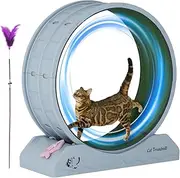 Running Wheel for Cats - Small Kitten Fitness Tool | Running Wheel with Teaser for Indoor Cats Weight Loss, Kitten Treadmill with Low Noise