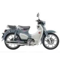 在飛比找momo購物網優惠-【HONDA 本田】super cub c125灰白 202