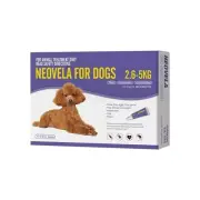 Neovela for Dogs 2.6 -5Kg 4 Pack PURPLE Flea Heartworm worms Mite & Lice 1/month