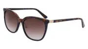 Anne Klein AK7096 mocha gradient 200 Sunglasses