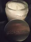 Gold Canyon Candles 16 oz medium Enchanted Forest HTF New Flaw