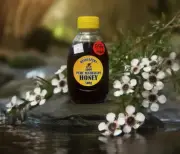 500g Australian Manuka Honey MGO 100+