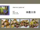 【神農大帝】手工紙摺元寶｜好好愛阿沐♥全館5折起/領券折300♥點數再9%