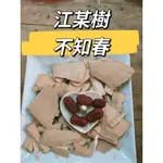 ［三濟青草行］ 附發票 。乾貨 < 江某樹/不知春 >(依客戶需求調配)紅棗 調理包