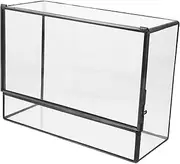 SEWOART Box Glass Landscaping Tank Micro Landscape DIY Holder Terrarium Moss Glass Terrariums for Plants Terrarium Jar Plant Terrarium Empty Terrarium Landscape Display Holder Plants Case