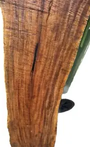 1292 Kamani Wood (Hawaiian Hardwood)Table Top,counter Tops,Wood Carving, Crafts