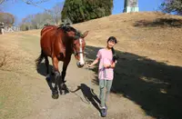 在飛比找KKday優惠-【南投清境農場】青青草原入園門票&騎師半日體驗(成人&兒童皆