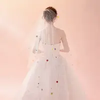 在飛比找蝦皮商城精選優惠-新娘結婚頭紗 婚紗影樓造型頭紗 2米大網綵球長頭紗 ZX00