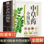 中草藥全圖鑒書本草綱目正版湯頭歌訣千金方中草藥彩圖大全圖解書【漫典書齋】