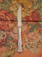 Oneida AZALEA Dinner Knife | Stainless Everyday Flatware Oneida Knife Silverware