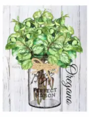Vintage Image Kitchen Herbs Spice Ball Mason Canning Jar Waterslide Decals KI435