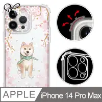 在飛比找PChome24h購物優惠-YOURS APPLE iPhone 14 Pro Max 