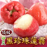 在飛比找ihergo愛合購優惠-免運!【真美味】頂級神農黑珍珠蓮霧 1.8kg(3斤)/箱 