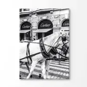 Black And White Horse with Fashion Store Print 100% Australian Made 120x90cm (Stretched Canvas)