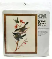 Vintage 1979 Columbia Minerva Black-capped Chickadees Picture Kit 8x10 BRAND NEW