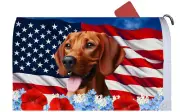 Redbone Coonhound Patriotic Mail Box Cover