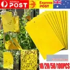 10-100x Dual-Sided Sticky Traps for Flying Plant Insect Like Fungus Gnats Aphids