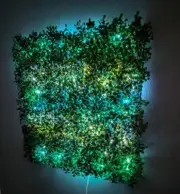 "20x20” Ivy Flower Wall Panel with LED Lighting – Multi-Color And Patterns