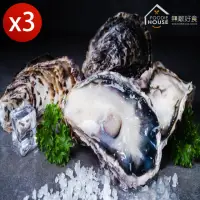 在飛比找momo購物網優惠-【無敵好食】韓國新鮮超大全殼生蠔 x3盒(550公克±10%