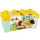 LEGO 10984 有機果菜園（含收納盒）