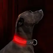 LED Dog Collar Light up Dog Collar USB Rechargeable Waterproof,Night Dog Band wi