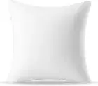 AM AEROMAX 20 ×20 Throw Pillow Memory Foam Pillow Insert - Square Accent Pillow