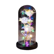 Catzon Galaxy Rose Light Glass Dome Romantic Gifts on Valentines Day-ColoredLightA