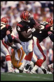 Quarterback Jeff Blake Cincinnati Bengals drops back to pass du 1995 Old Photo 2