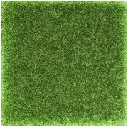 Artificial Grass Mat - Fake Grass Door Mat Outdoor Rug | Artificial Turf Grass Mat for Outdoor Lawn, Garden, Patio, Landscape, Balcony, Pet