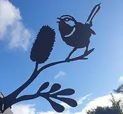 Superb Fairy Wren on Banksia Twig - Australian Made Rusted Metal Garden Art